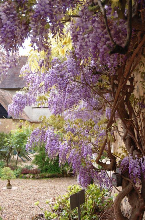 La Chaiserie La Croix-Saint-Leufroy Kültér fotó